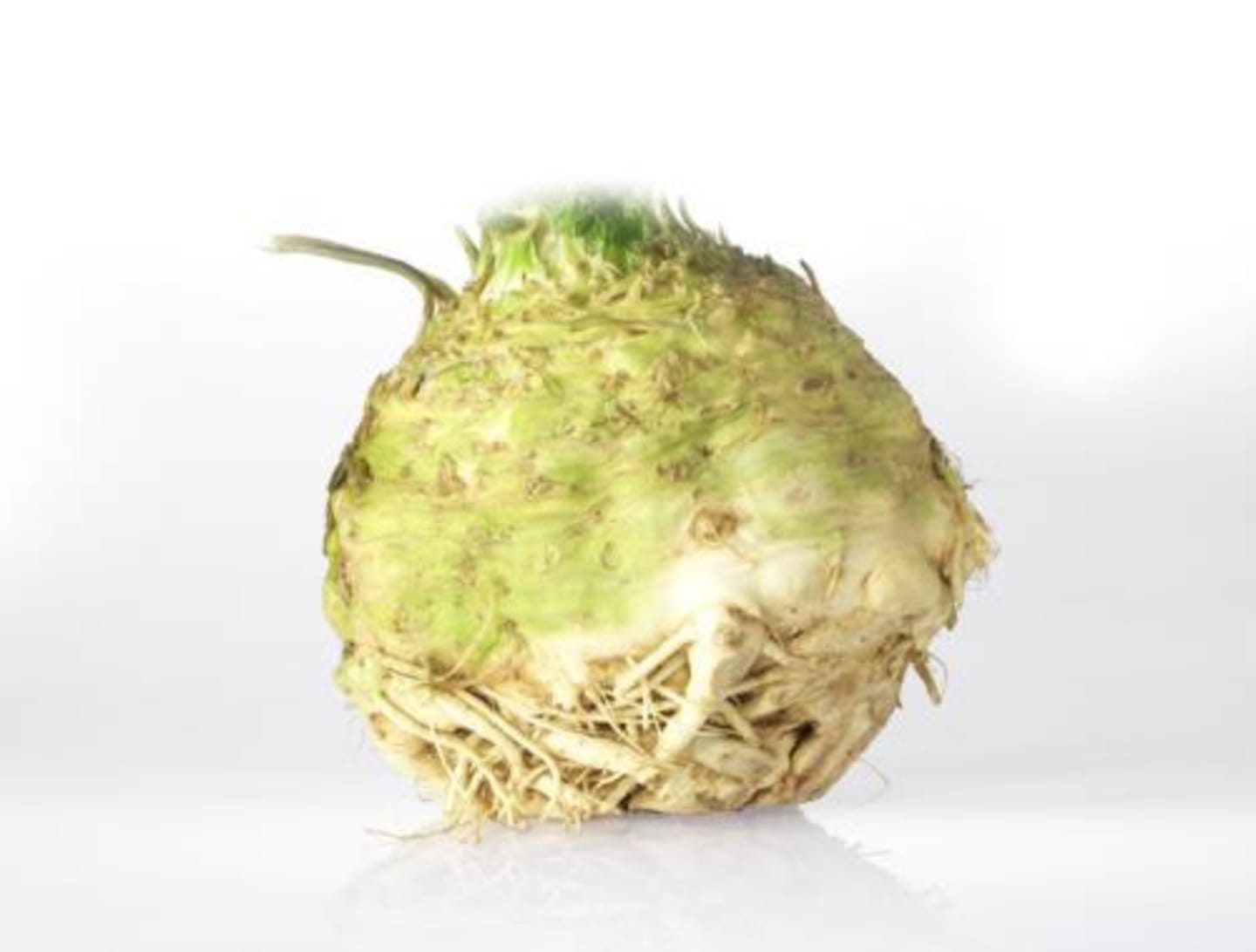 Rotselleri EKO 10kg SE