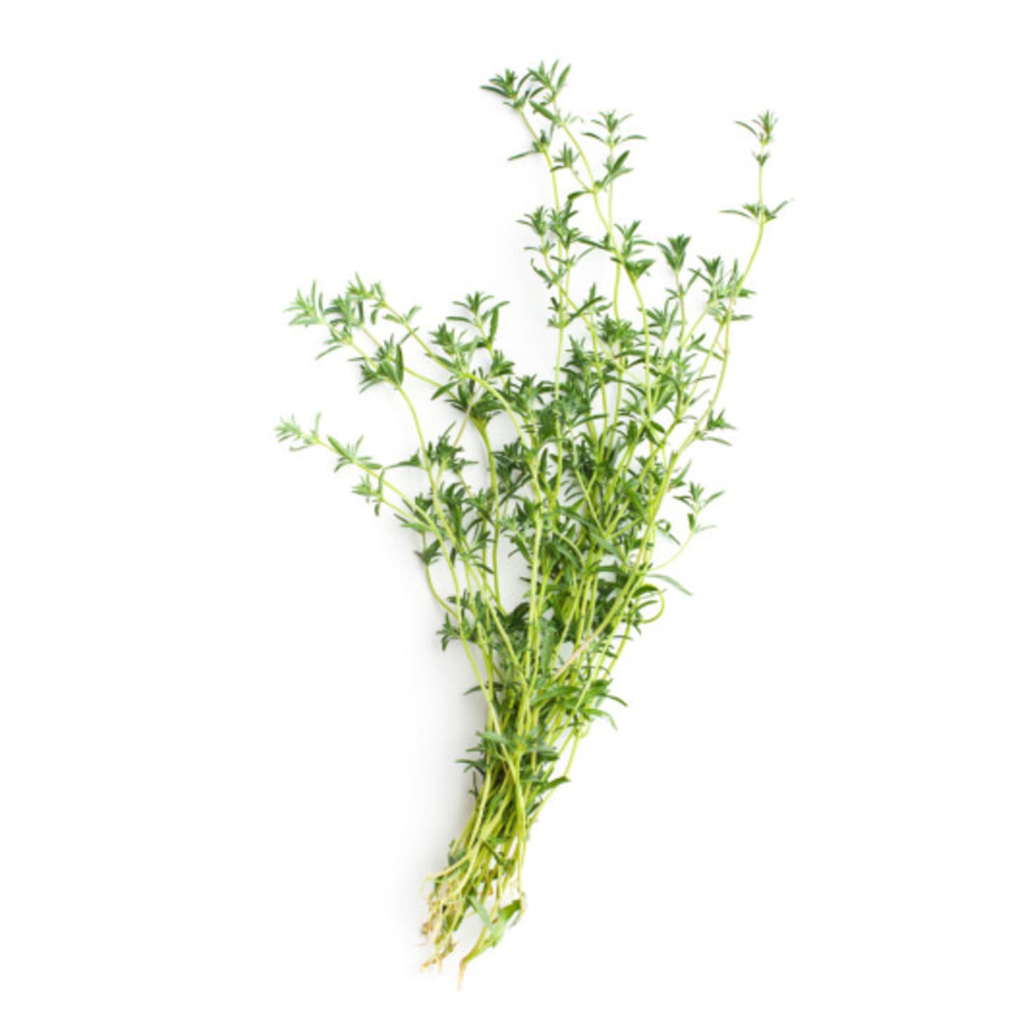 Kyndel EKO 50g