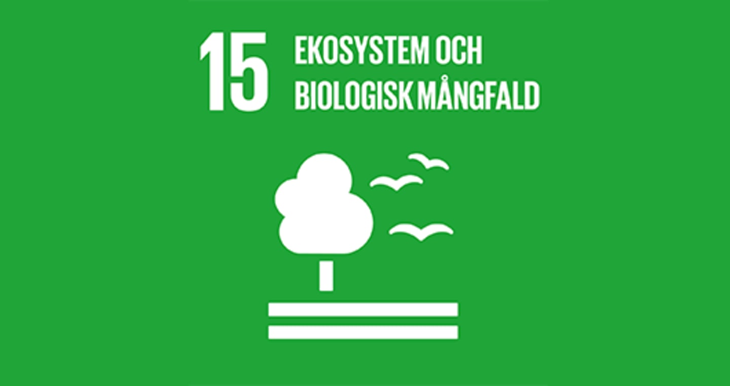 Ekosystem och biologisk mångfald  