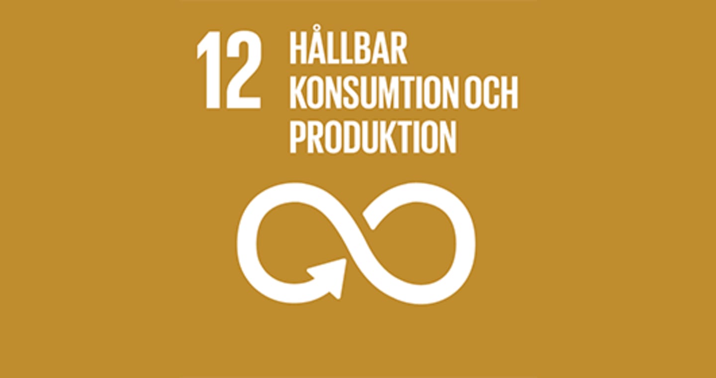 Hållbar konsumtion och produktion