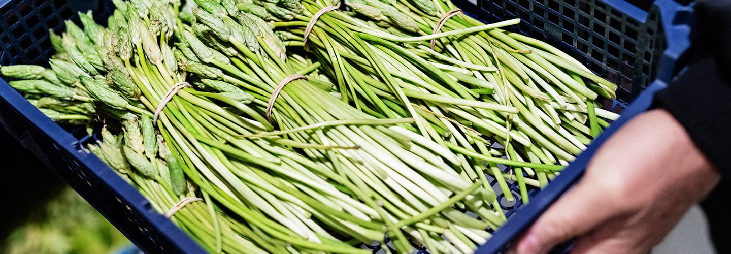 Information till dig som är leverantör till Grönsakshallen Sorunda