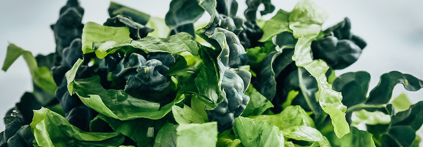 Välkommen att bli kund hos Grönsakshallen Sorunda