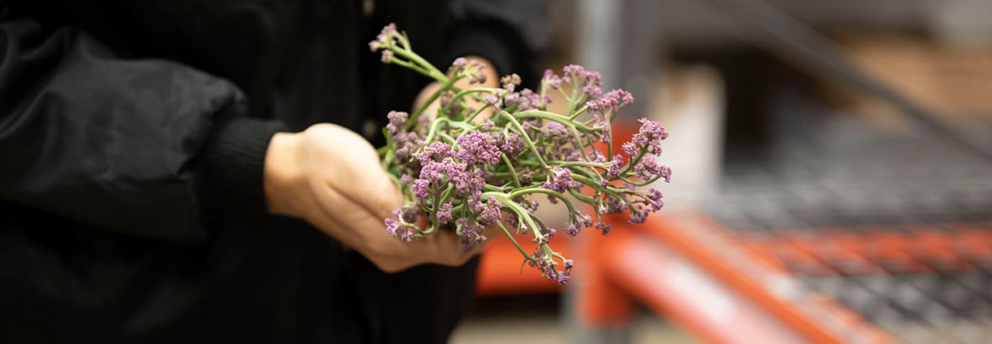 För den kräsne krögaren