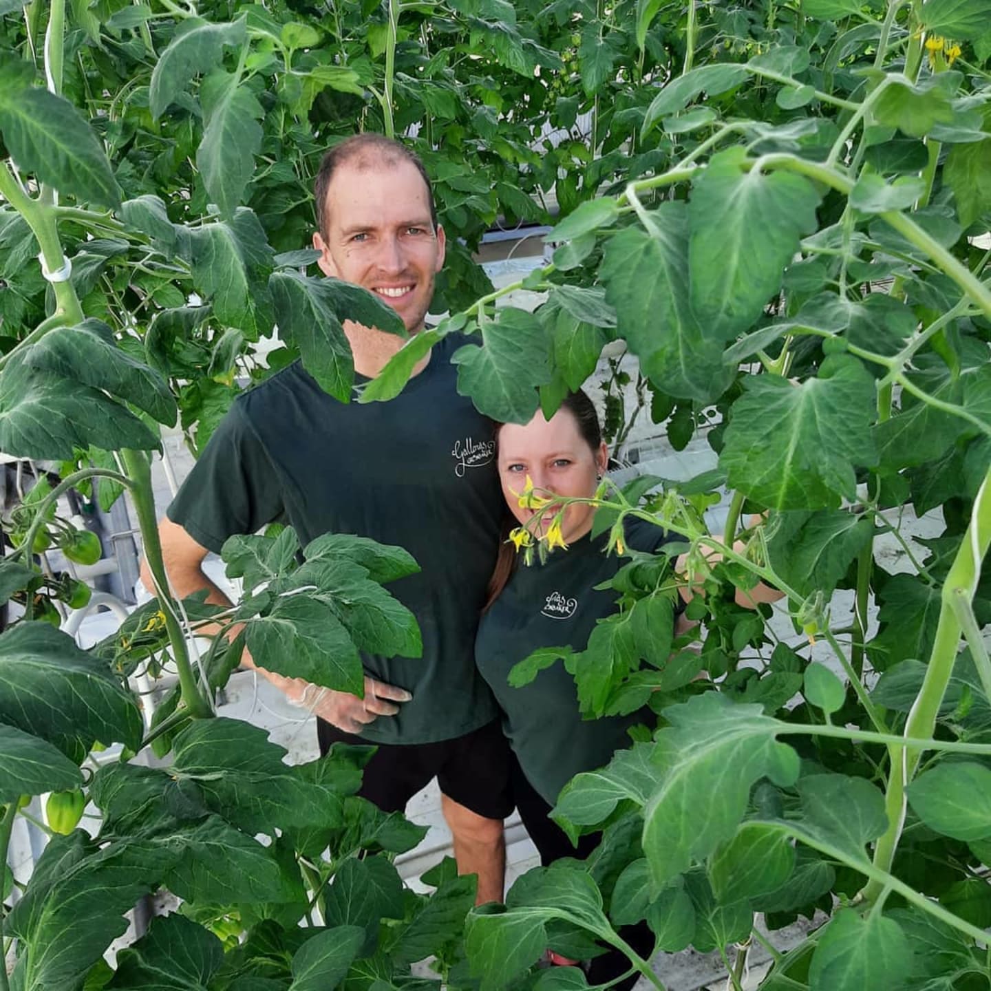 <strong><span style="font-weight: 400;">Det som driver oss är vår kärlek till att odla fram fina grönsaker som får smaklökarna att dansa</span></strong>