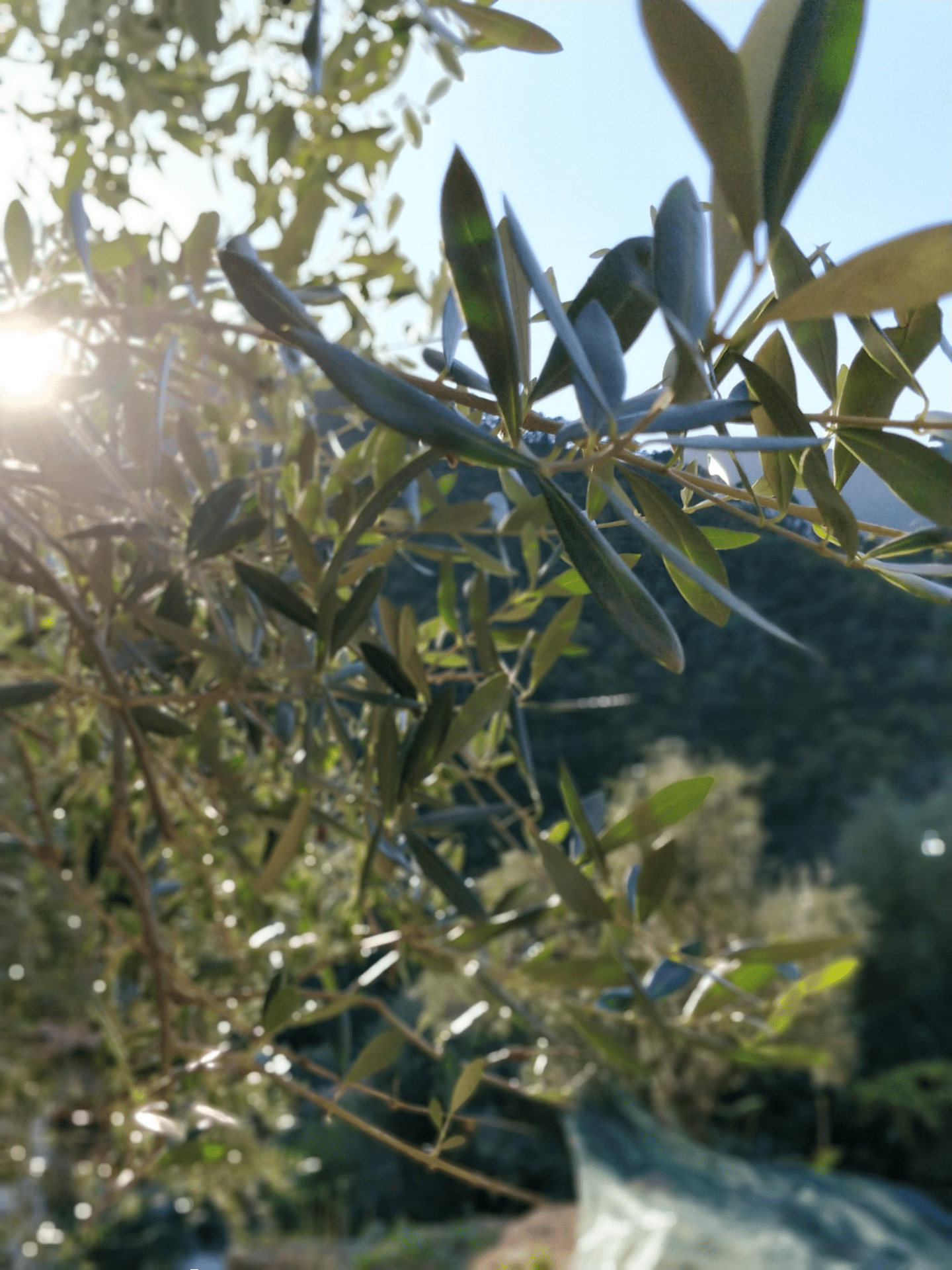 Hållbart jordbruk är jordbruk där marken får tillbaka det som tas ifrån den.