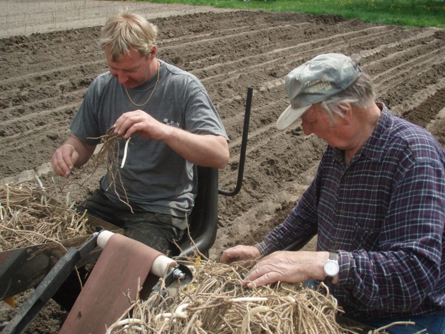 <strong><span style="font-weight: 400;">Vi på Stenhuse gård är väldigt stolta över är att våra produkter serverats bland annat på flera av Nobelfestens middagar samt kronprinsessan Victorias bröllop.</span></strong>
