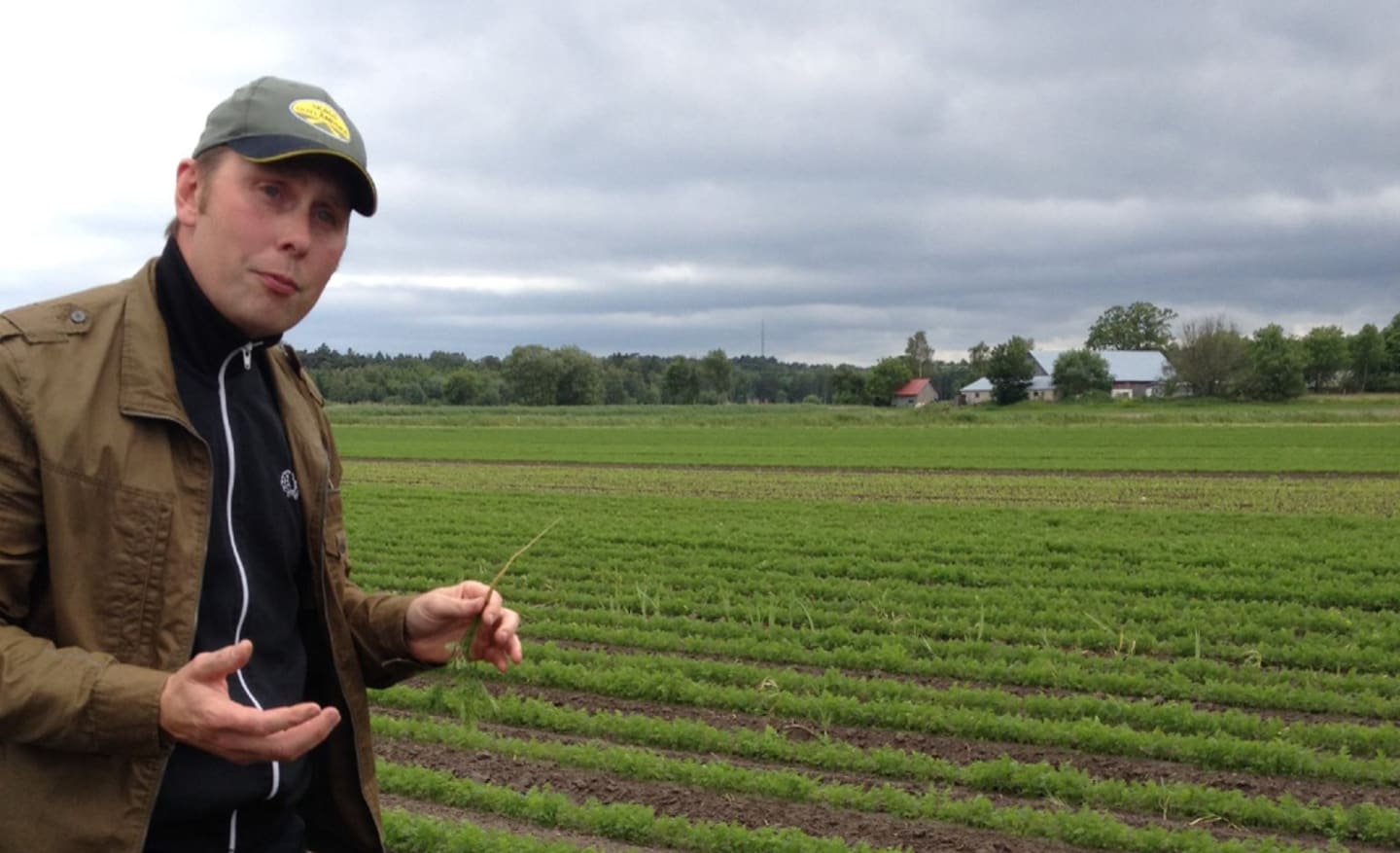 Gotländska rotfrukter, naturligt gjorda - naturligt goda