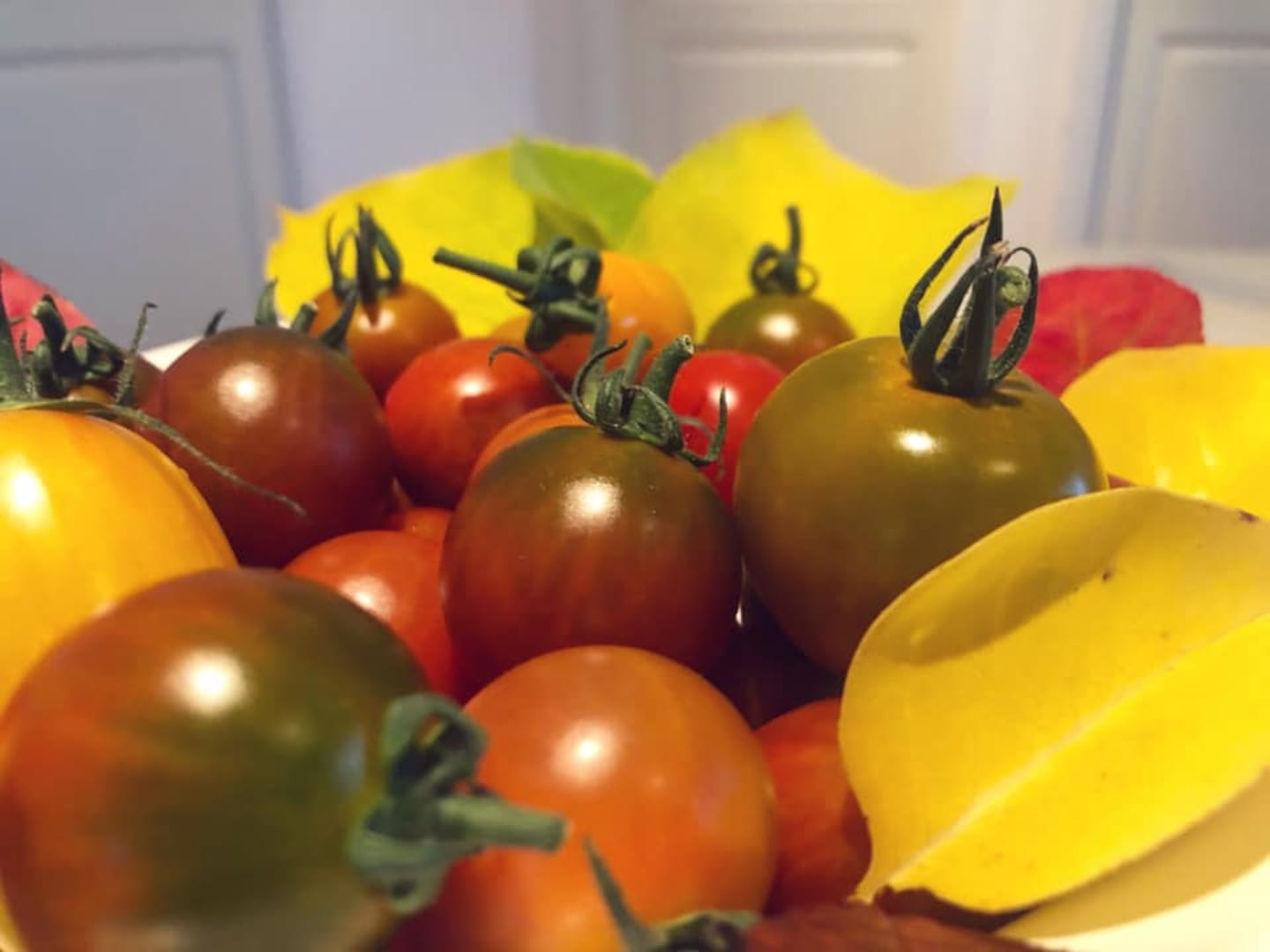 <strong><span style="font-weight: 400;">En riktigt god tomat är ingen slump</span></strong>